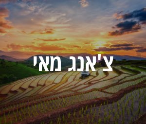 צ'אנג מאי
