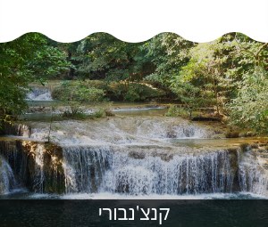 קנצ'נבורי
